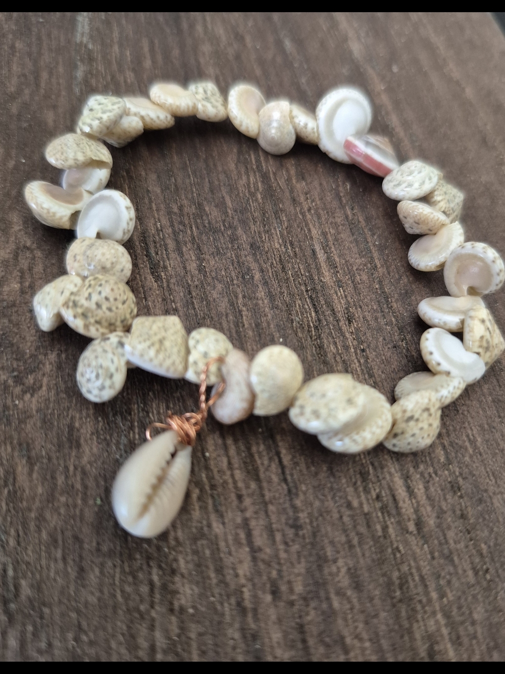 Snail Seashell And Copper Braclet!